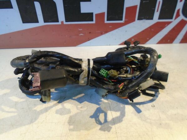 Kawasaki ZX10B Tomcat Wiring Loom Harness