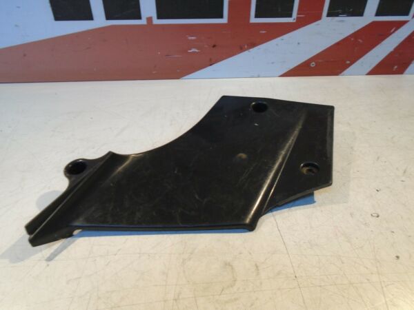 Suzuki TL1000R Fairing Infill Panel
