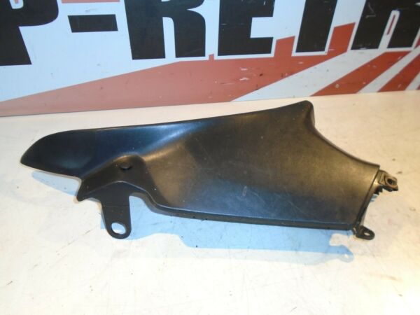 Honda CBR1100XX Blackbird R-H Fairing Infill Panel