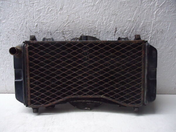 Yamaha FZR600 Radiator 