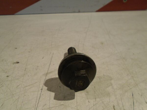 Yamaha R1 Engine Alternator Rotor Bolt YZF-R1