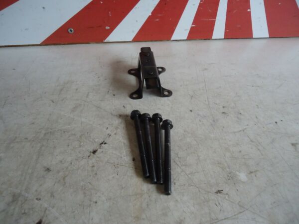 Yamaha YZF750R Engine Camchain Guide Guard