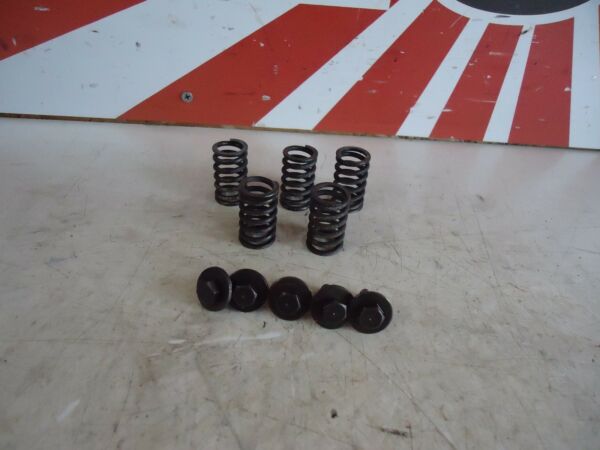 Kawasaki ZZR600 Clutch Springs 