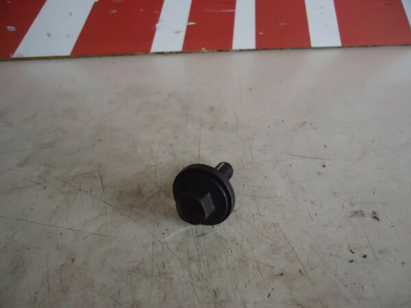 Kawasaki ZZR600 Engine Alternator Rotor Bolt 
