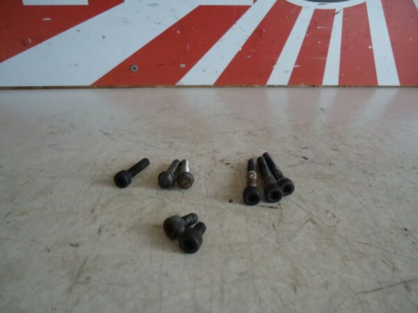 Yamaha FZR600 Coolant Pipe Bolts FZR600 Engine Bolts