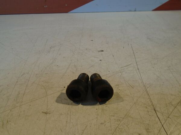 Kawasaki GPZ1000RX Rear Brake Caliper Mount Bolts 