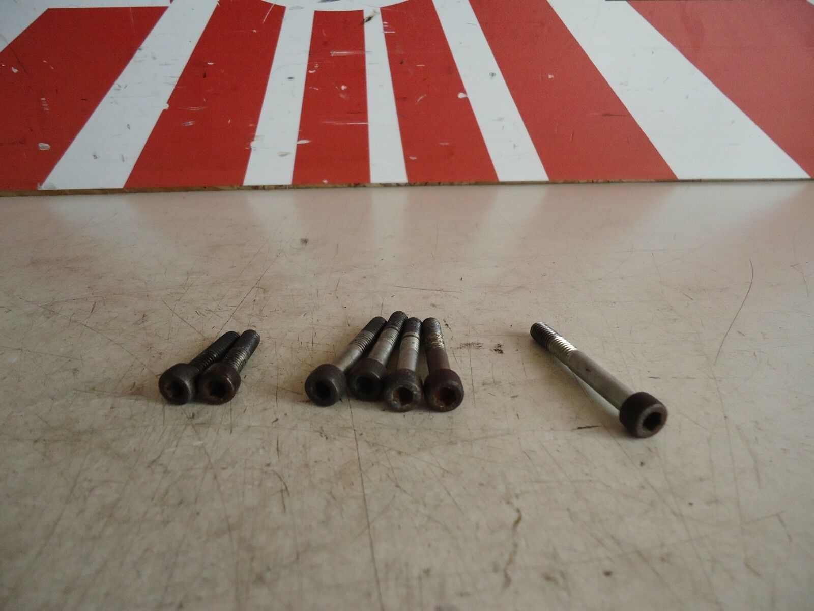 Yamaha FZR600 Engine Starter Cover Bolts 