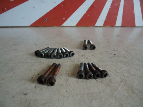 Yamaha FZR600 Engine Alternator Cover Bolts 