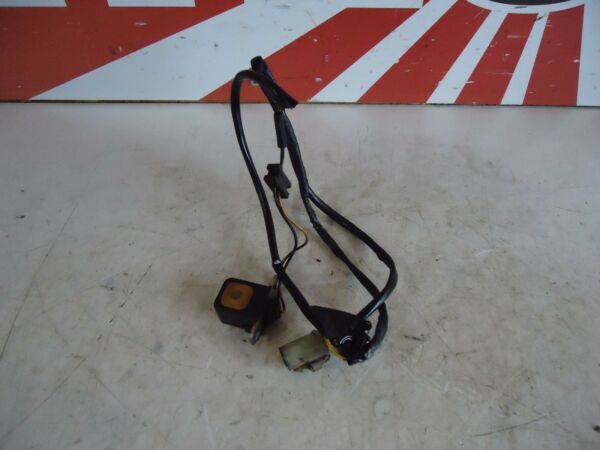 Kawasaki ZZR600 Engine Ignition Pick Ups 
