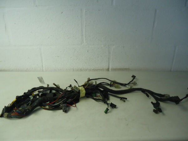 Kawasaki ZZR250 Wiring Loom Harness