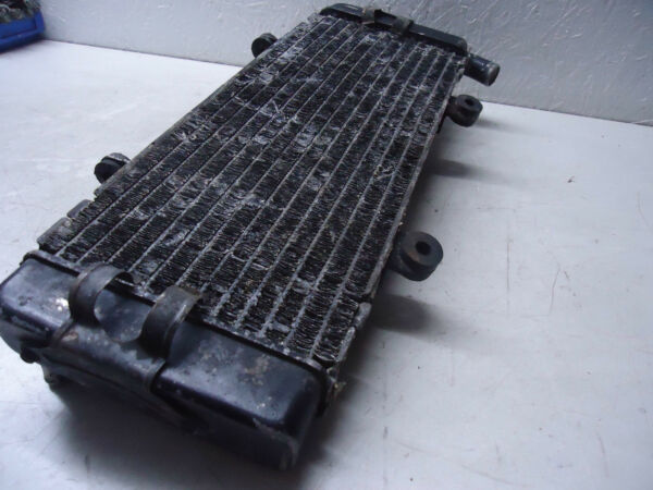 Honda CBR600F Radiator