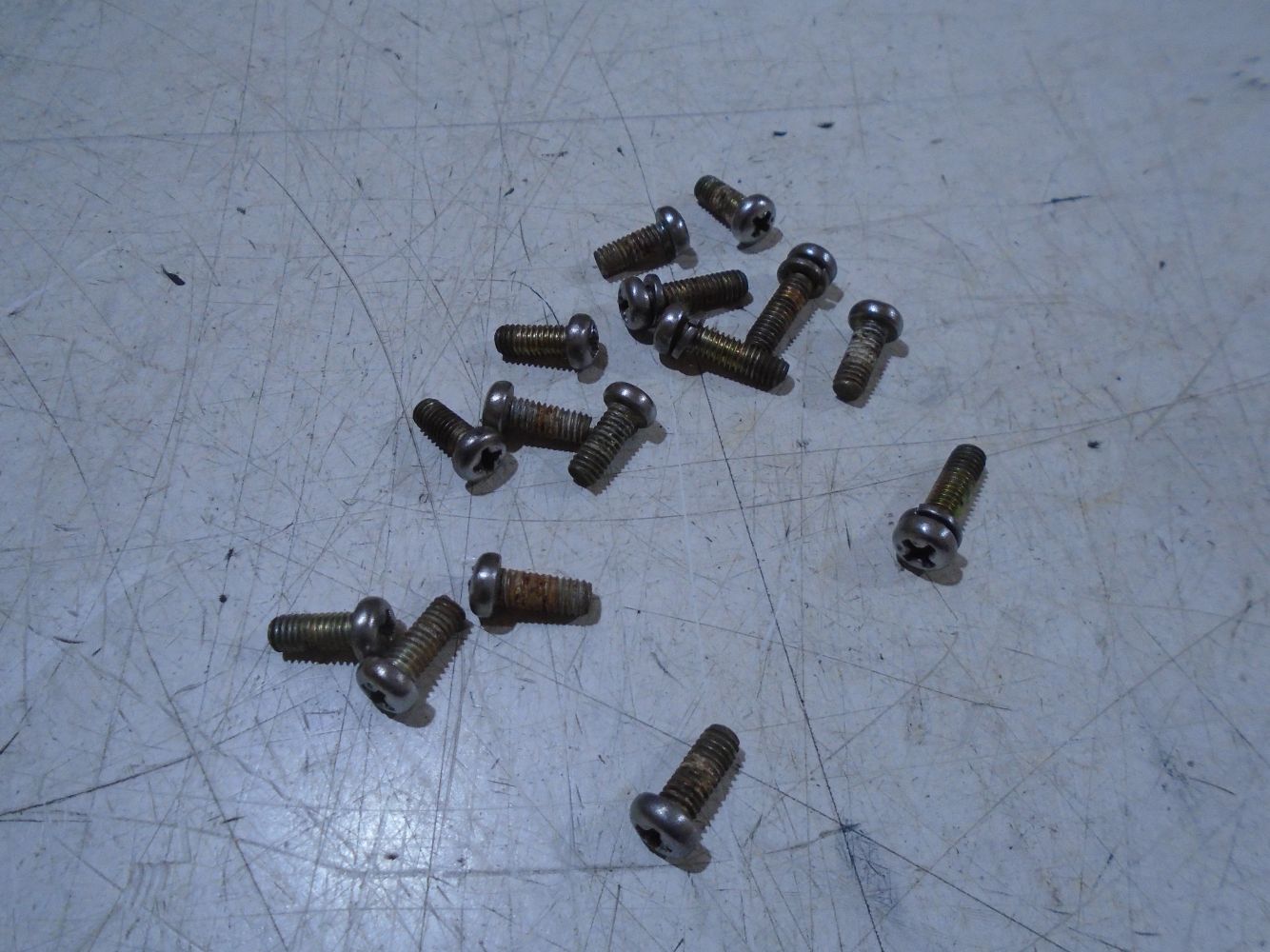 Kawasaki ZX10B Tomcat Carb Float Bowl Screws ZX10 Carburettor