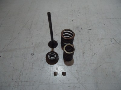 Kawasaki KZ550 Engine Exhaust Valve GPZ550 Valves