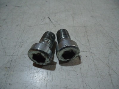 Kawasaki ZZR1100 Fork Lower Pinch Bolts