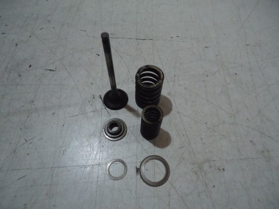 Kawasaki ZZR250 Engine Inlet Valve ZZR250 Valves