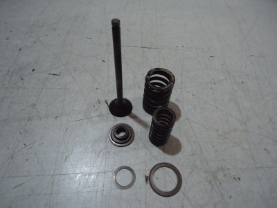 Kawasaki ZZR250 Engine Exhaust Valve ZZR250 Valves