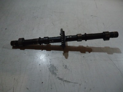 Suzuki GSF600 Bandit Engine Exhaust Camshaft