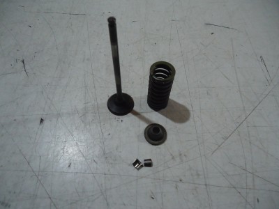 Yamaha FZR600 Engine Inlet Valve FZR600 Valves