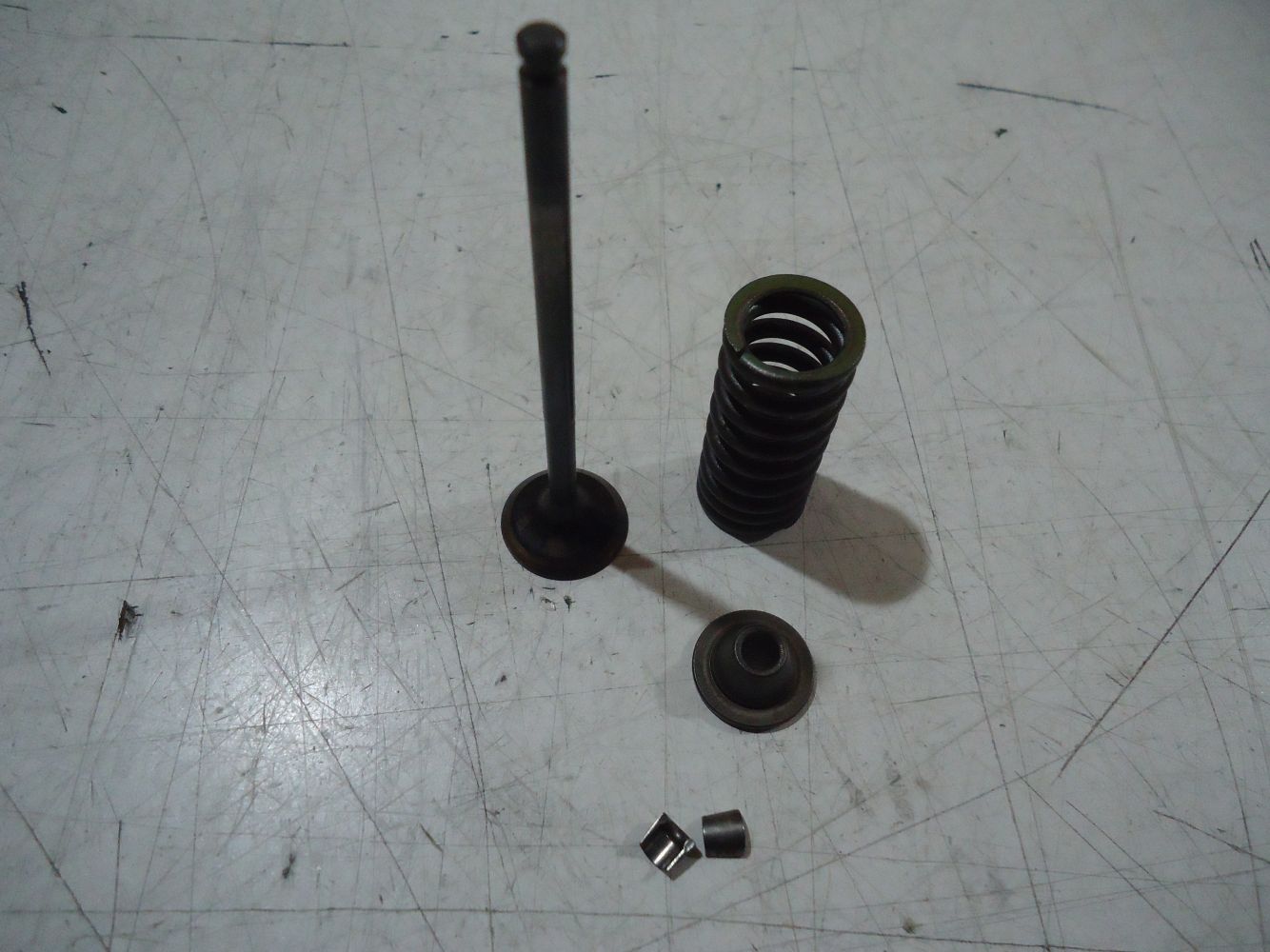 Yamaha FZR600 Engine Exhaust Valve FZR600 Valves