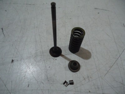 Yamaha FZR600 Engine Exhaust Valve FZR600 Valves