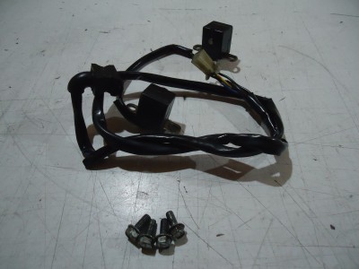 Kawasaki GPZ900R Ignition Pick Ups
