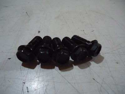 Kawasaki GPZ900R Oil Pipe Banjo Bolts
