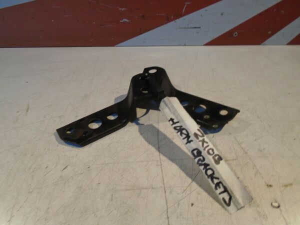 Kawasaki ZX10B Tomcat Horn Mount Brackets