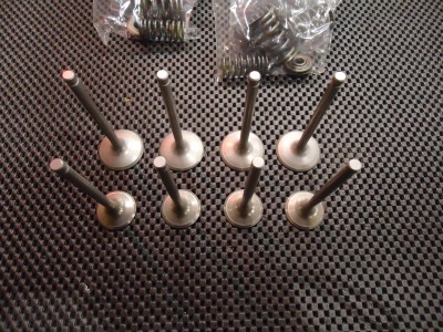 Yamaha XJ900S Inlet Exhaust Valve XJ900 Diversion Engine Valves