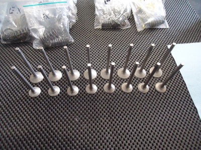 Kawasaki GPZ750R Inlet Exhaust Valve GPZ750 Engine Valves GPZ 750 ZX750G