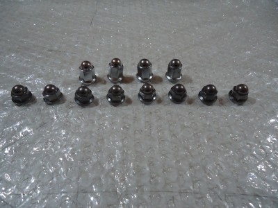 Honda CBX750F Cylinder Head Nuts CBX750 Engine Head Nut CBX 750 RC17