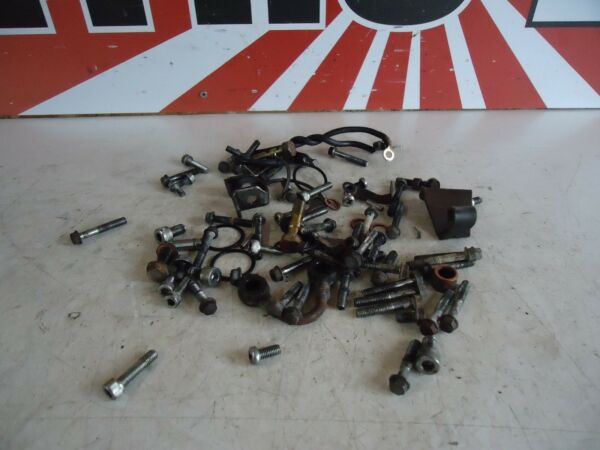 Kawasaki ZZR600 Engine Bolts