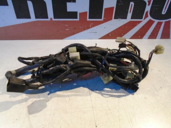 Kawasaki ZX10B1 Wiring Loom ZX10B Tomcat Wiring Harness